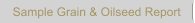 Sample Grain & Oilseed Report